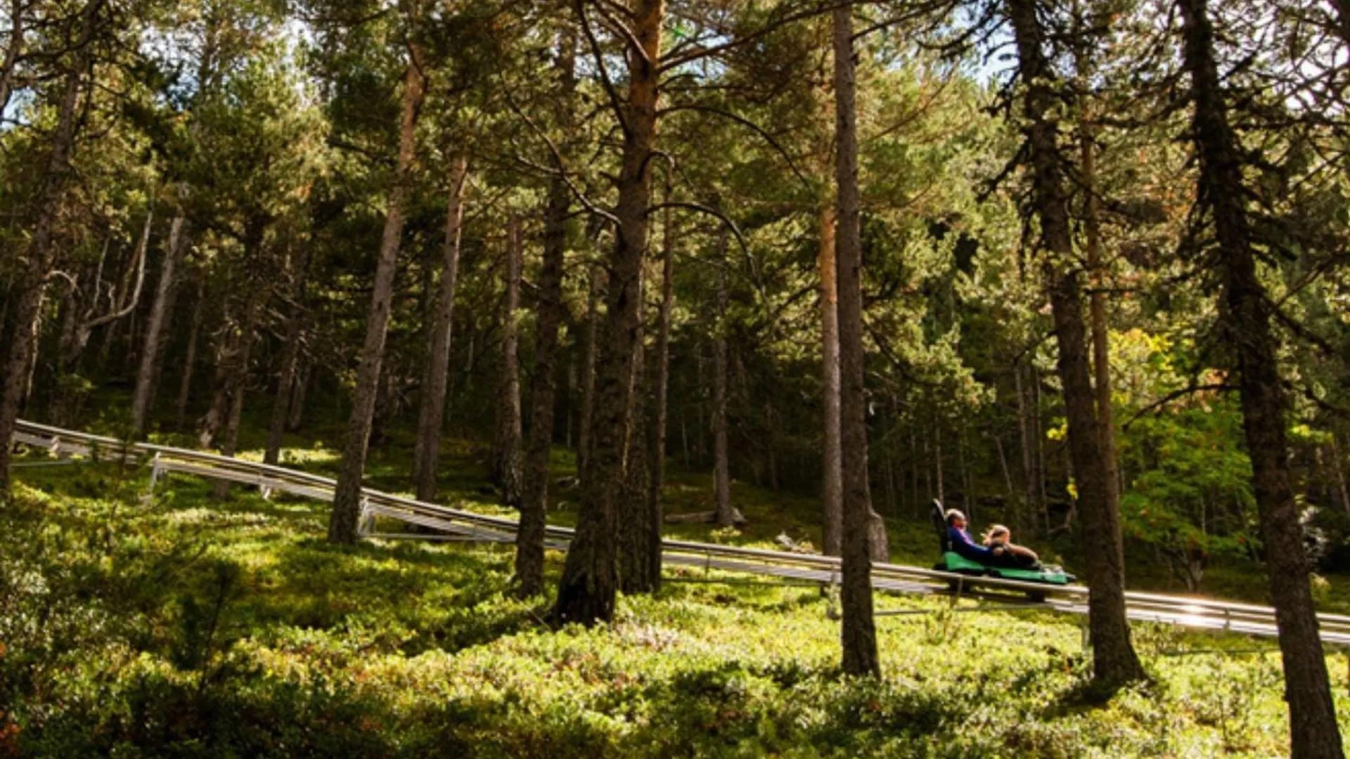 Apartamento Moderno El Bosque En Arinsal 0*,